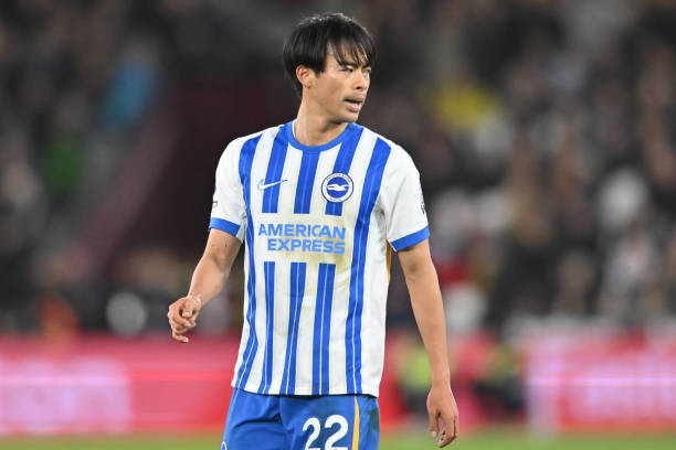 仅属于职业 仅属于职业